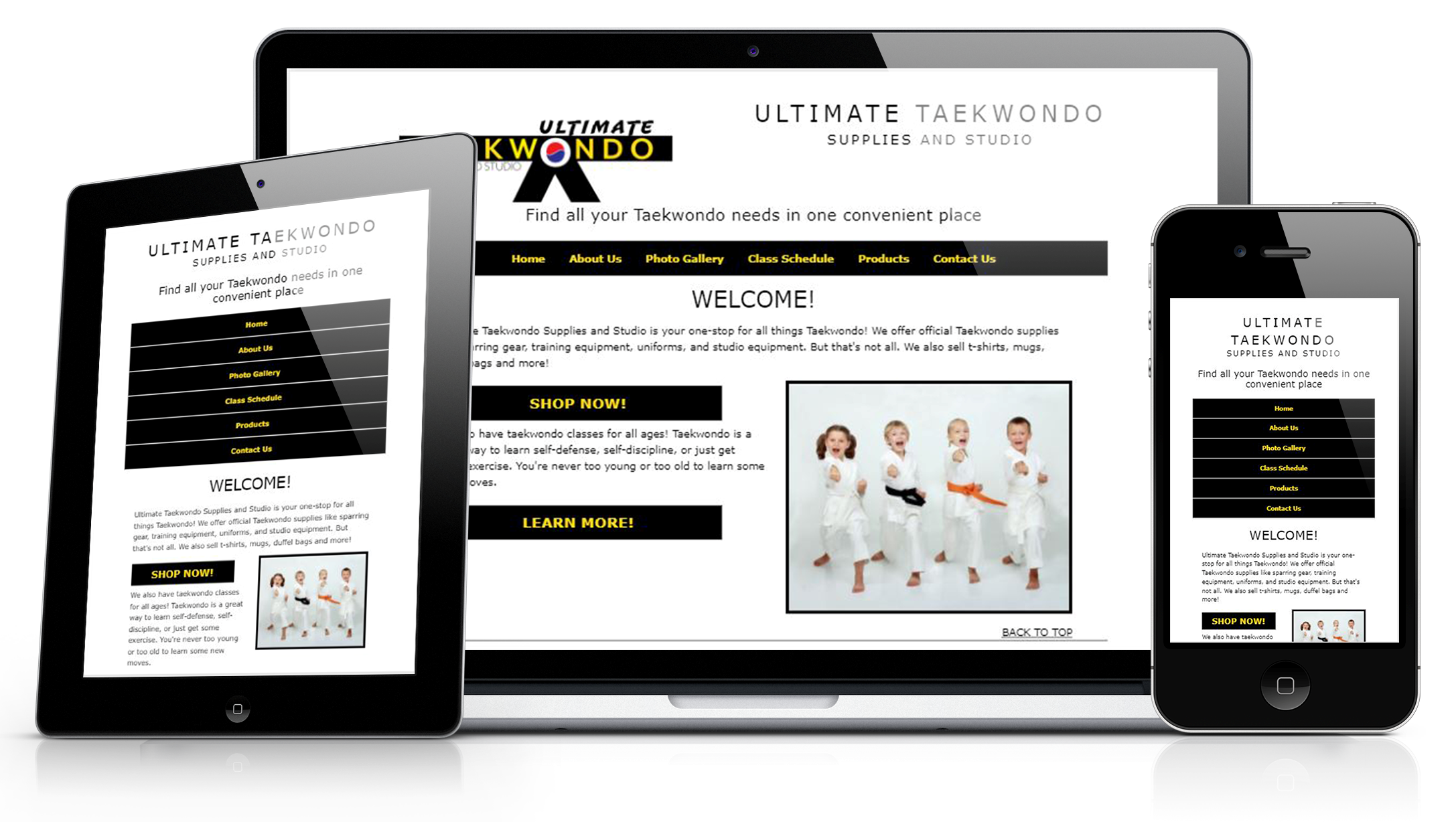 Website design for a fictional Taekwondo studio